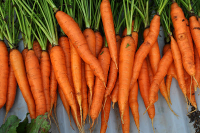 Naturally Boost your collagen with these 11 Foods