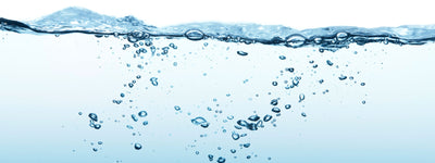 Foods that Hydrate your Skin